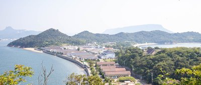 🏝️ 오시마 섬